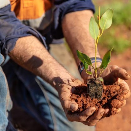 Carbon Offset Ticket