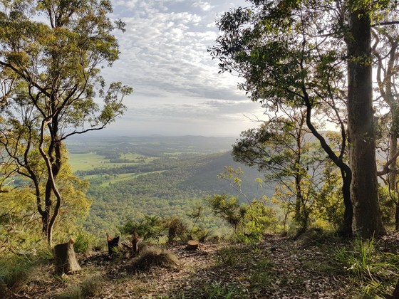 Watagans Social Hike