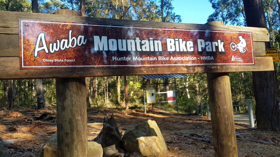 Beginner Mountain Biking