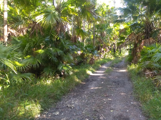 8 Mile Myall Hike