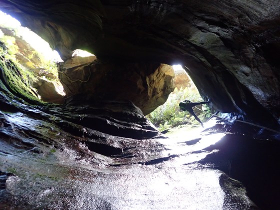 Beginners Canyon Blue Mountains 
