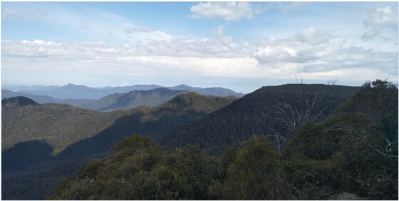 Beginners Overnight Hike - Barrington Tops National park