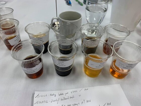 2024 BJCP Exam Study Group