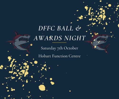 DFFC Sharks EOY Ball 