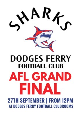 DFFC Grand Final Day 2025