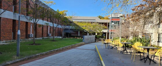 Free - PSA Afternoon BBQ at Curtin!