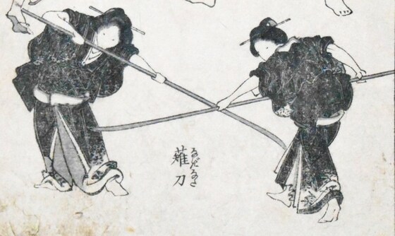 NCNF Virtual seminar and general meeting