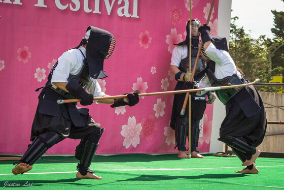 Cherry Blossom Festival: Season Schedule