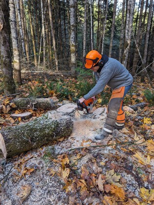 2024 Deadfall Saw Course November 16 