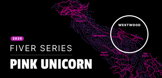 Fiver Series: Pink Unicorn