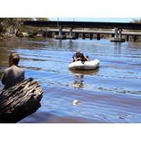 Search Dogs Australia Inc.