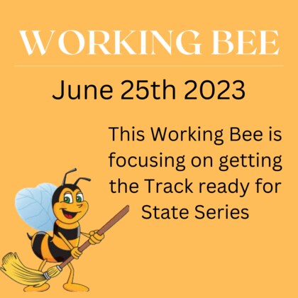 Busy Bee - State Series Prep