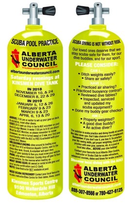 Kinsmen Pool Dive