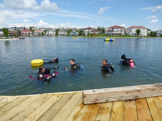 2019 Arbour Lake Clean up