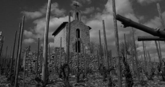 Bring out your Dead : An Exploration of Aged and Resurrected Wines - 2 Places remaining