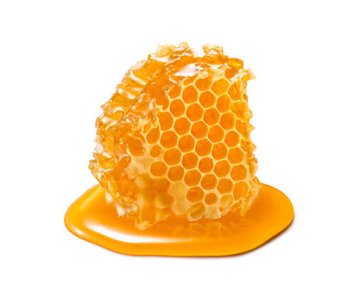 Bee Group Monthly Meeting - Get Your Buzz On!