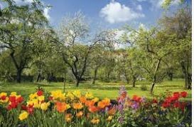 Garden group Spring meeting