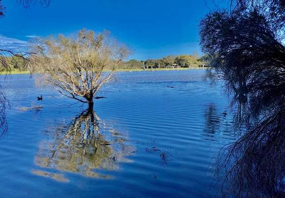 Photography Group - Lake Claremont Trip & Review - $10 Payment 