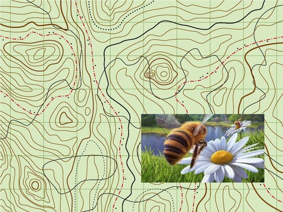 Bee Group Monthly Meeting
