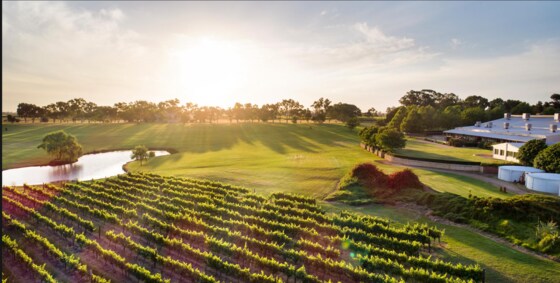 Swan Valley Wine and Lunch Trip July 14th - All Shedders