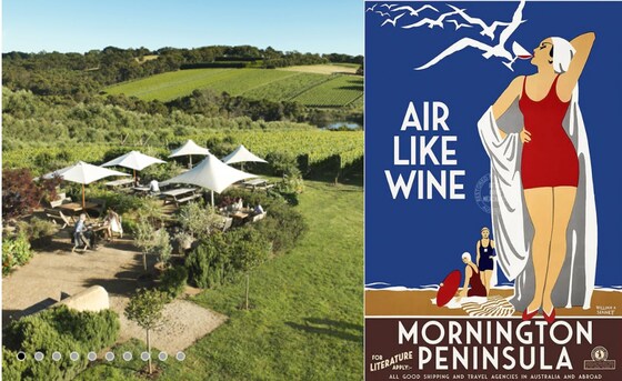 Wine Appreciation Group November Meeting