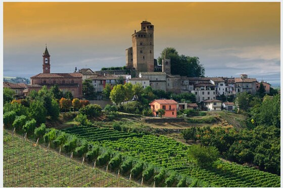 Wine Group Event Tuesday August 2nd