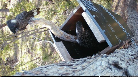 Wellbeing - Carnaby Crusaders - Dean Arthurell