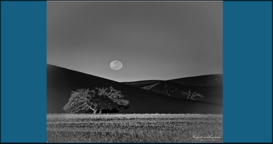 Photography Group - Robert Van Koesveld’s Photography Exhibition