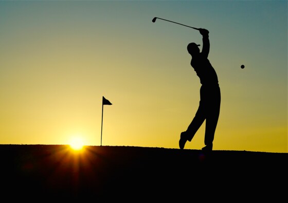 Wellbeing - Golf Simulator opportunity