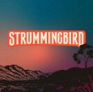 Strummingbird Concert - Shed closed 1 and 2 November 2025