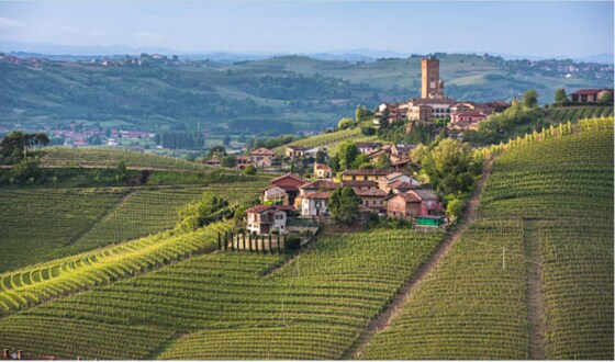 March 7th 2023 Wine Group Event