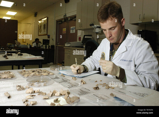Wellbeing - Forensic Dentistry Identification - To Be Confirmed
