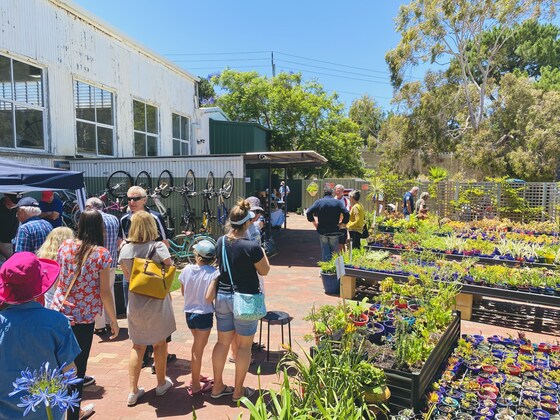 3 Day Plant Sale (Monday 21st - Wednesday 23rd December)