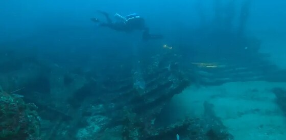 Wellbeing Group - The Rottnest Deepwater Scuttle Ground