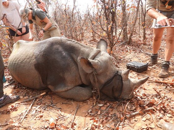 Wellbeing Group - Save the African Rhino presented by Peter Panek
