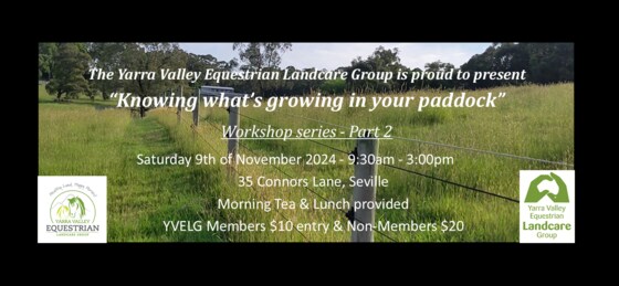 Pasture Plant Identification Workshop Series with Kathy Mapleson - Part 2