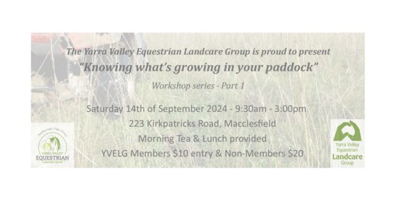 Pasture Plant Identification Workshop Series with Kathy Mapleson - Part 1