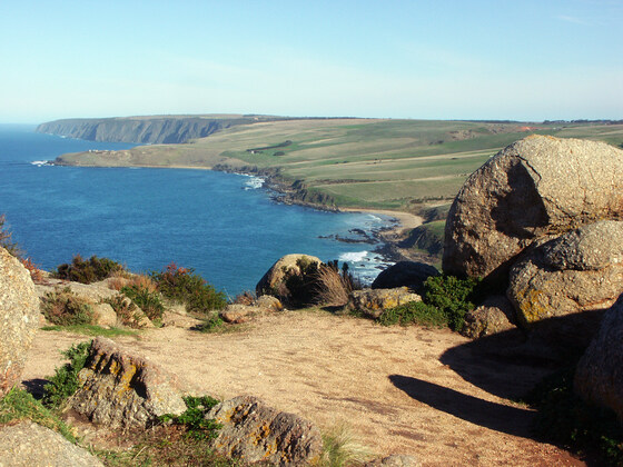 Compact Register South Coast Drive