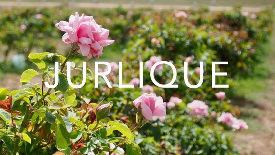 Jaguar Ladies Group - Thursday September 21st 2023