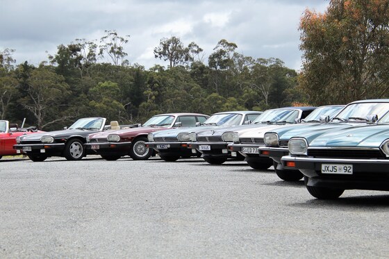 Jaguar XJS - Border Round-Up - May 2022