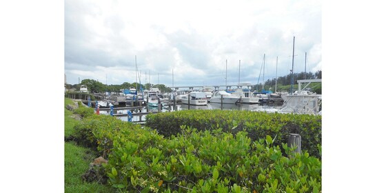 Washington's Birthday Weekend in Vero Beach