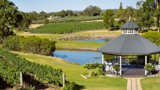 Buzz to the Bark: A Perth Hills Drive