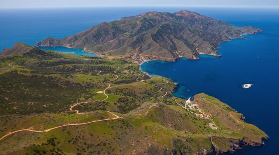 the CATALINA ADVENTURE ride