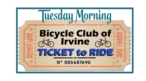 TUE Nov 3 Sign In