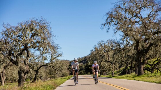 the Carpinteria Remote Solvang Extension