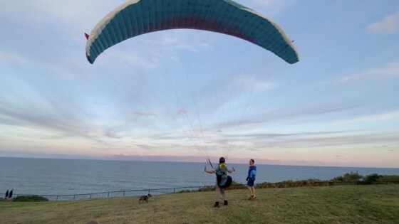 Safety Officer and Duty Pilot Training Workshop - Long Reef