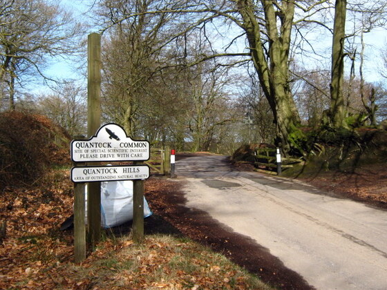 QUANTOCK MTB ride