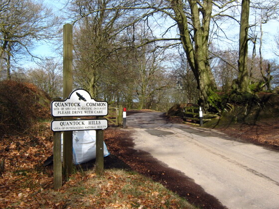 Quantock MTB - Crowcombe park gate