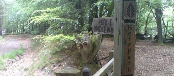 Herepath Trail