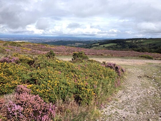 Lydeard Hill ride Sunday 15th 09.00